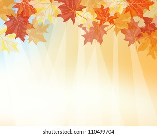 Autumn  Frame With Falling  Maple Leaves on Sky Background. Elegant Design with Rays of Sun and Ideal Balanced Colors. Vector Illustration.