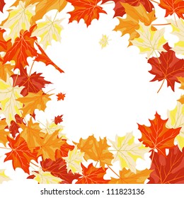 Autumn  Frame With Falling  Maple Leaves on White Background. Elegant Design with Text Space and Ideal Balanced Colors. Vector Illustration.
