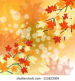 Autumn  Frame With Falling  Maple Leaves on Sky Background. Elegant Design with Rays of Sun and Ideal Balanced Colors. Vector Illustration.