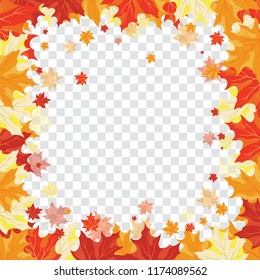 Autumn  Frame With Falling  Maple Leaves on transparency (alpha) grid background. Vector illustration.