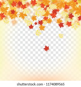 Autumn  Frame With Falling  Maple Leaves on transparency (alpha) grid background. Vector illustration.