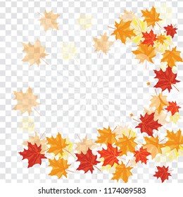 Autumn  Frame With Falling  Maple Leaves on transparency (alpha) grid background. Vector illustration.