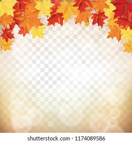 Autumn  Frame With Falling  Maple Leaves on transparency (alpha) grid background. Vector illustration.