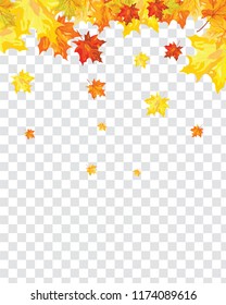 Autumn  Frame With Falling  Maple Leaves on transparency (alpha) grid background. Vector illustration.