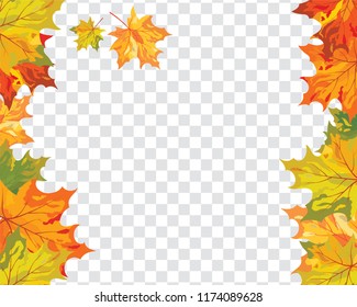 Autumn  Frame With Falling  Maple Leaves on transparency (alpha) grid background. Vector illustration.
