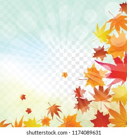 Autumn  Frame With Falling  Maple Leaves on transparency (alpha) grid background. Vector illustration.
