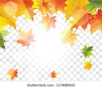 Autumn  Frame With Falling  Maple Leaves on transparency (alpha) grid background. Vector illustration.