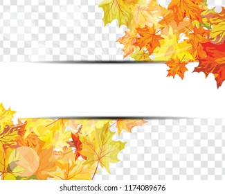 Autumn  Frame With Falling  Maple Leaves on transparency (alpha) grid background. Vector illustration.