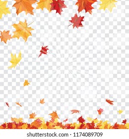 Autumn  Frame With Falling  Maple Leaves on transparency (alpha) grid background. Vector illustration.