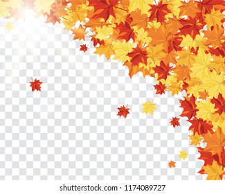 Autumn  Frame With Falling  Maple Leaves on transparency (alpha) grid background. Vector illustration.
