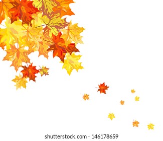 Autumn  Frame With Falling  Maple Leaves on White Background. Elegant Design with Text Space and Ideal Balanced Colors. Vector Illustration.