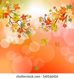 Autumn  Frame With Falling  Maple Leaves on Sky Background. Elegant Design with Rays of Sun and Ideal Balanced Colors. Vector Illustration.