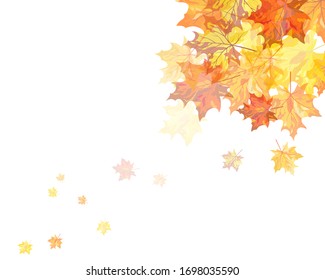 Autumn  frame with falling  maple leaves on sky background. Elegant design with rays of sun and ideal balanced colors. Vector illustration.
