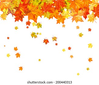 Autumn  Frame With Falling  Maple Leaves on White Background. Elegant Design with Text Space and Ideal Balanced Colors. Vector Illustration.