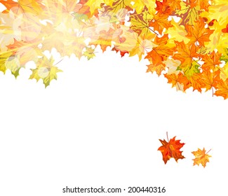 Autumn  Frame With Falling  Maple Leaves on White Background. Elegant Design with Text Space and Ideal Balanced Colors. Vector Illustration.