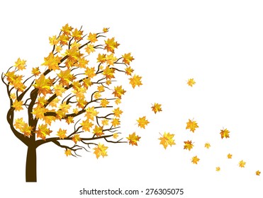 Autumn  Frame With Falling  Maple Leaves on White Background. Elegant Design with Text Space and Ideal Balanced Colors. Vector Illustration.
