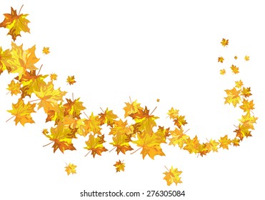 Autumn  Frame With Falling  Maple Leaves on White Background. Elegant Design with Text Space and Ideal Balanced Colors. Vector Illustration.