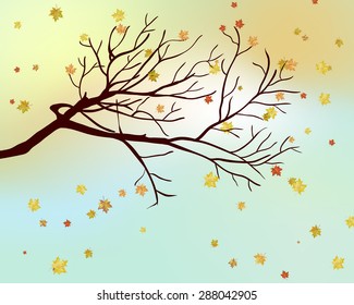 Autumn  Frame With Falling  Maple Leaves on Sky Background. Elegant Design with Brunch, Sun and Ideal Balanced Colors. Vector Illustration.