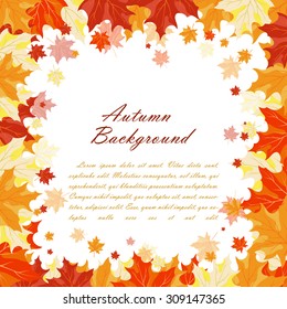 Autumn  Frame With Falling  Maple Leaves on White Background. Elegant Design with Text Space and Ideal Balanced Colors. Vector Illustration.