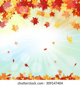 Autumn  Frame With Falling  Maple Leaves on Sky Background. Rays of Sun. Vector Illustration. 