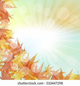 Autumn  Frame With Falling  Maple Leaves on Sky Background. Elegant Design with Rays of Sun and Ideal Balanced Colors. Vector Illustration.