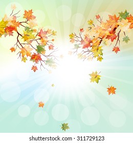 Autumn  Frame With Falling  Maple Leaves on Sky Background. Elegant Design with Rays of Sun and Ideal Balanced Colors. Vector Illustration.