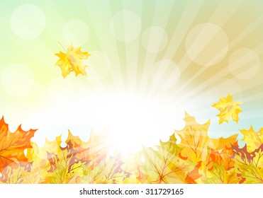 Autumn  Frame With Falling  Maple Leaves on Sky Background. Elegant Design with Rays of Sun and Ideal Balanced Colors. Vector Illustration.