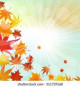 Autumn  Frame With Falling  Maple Leaves on Sky Background. Elegant Design with Rays of Sun and Ideal Balanced Colors. Vector Illustration.