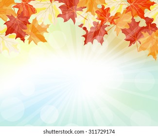 Autumn  Frame With Falling  Maple Leaves on Sky Background. Elegant Design with Rays of Sun and Ideal Balanced Colors. Vector Illustration.