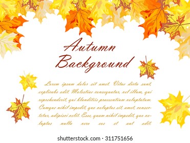 Autumn  Frame With Falling  Maple Leaves on White Background. Elegant Design with Text Space and Ideal Balanced Colors. Vector Illustration.