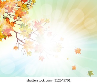 Autumn  Frame With Falling  Maple Leaves on Sky Background. Elegant Design with Rays of Sun and Ideal Balanced Colors. Vector Illustration.