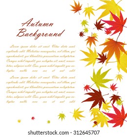 Autumn  Frame With Falling  Maple Leaves on White Background. Elegant Design with Text Space and Ideal Balanced Colors. Vector Illustration.