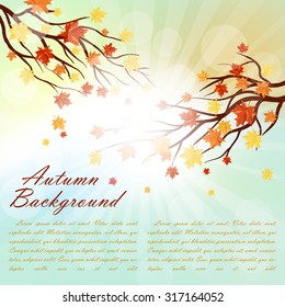 Autumn  Frame With Falling  Maple Leaves on Blue Sky Background. Elegant Design with Rays of Sun and Ideal Balanced Colors. Vector Illustration.
