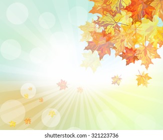 Autumn  frame with falling  maple leaves on sky background. Elegant design with rays of sun and ideal balanced colors. Vector illustration.