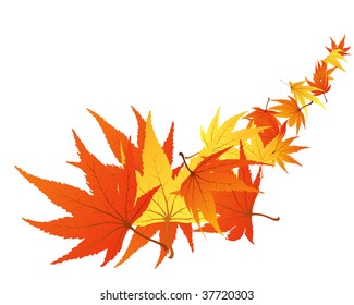 Autumn  Frame With Falling  Maple Leaves on White Background. Elegant Design with Text Space and Ideal Balanced Colors. Vector Illustration.