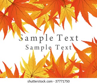 Autumn  Frame With Falling  Maple Leaves on White Background. Elegant Design with Text Space and Ideal Balanced Colors. Vector Illustration.