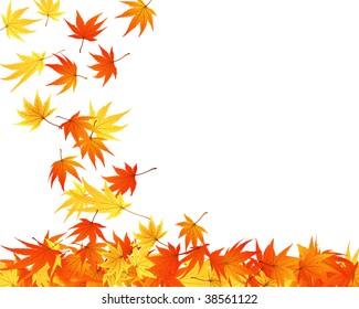 Autumn  Frame With Falling  Maple Leaves on White Background. Elegant Design with Text Space and Ideal Balanced Colors. Vector Illustration.