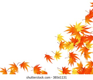 Autumn  Frame With Falling  Maple Leaves on White Background. Elegant Design with Text Space and Ideal Balanced Colors. Vector Illustration.