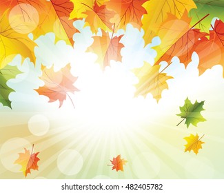 Autumn  Frame With Falling  Maple Leaves on Sky Background. Elegant Design with Rays of Sun and Ideal Balanced Colors. Vector Illustration.