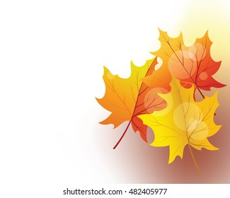 Autumn  Frame With Falling  Maple Leaves on White Background. Elegant Design with Text Space and Ideal Balanced Colors. Vector Illustration.