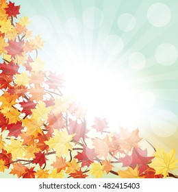 Autumn  Frame With Falling  Maple Leaves on Sky Background. Elegant Design with Rays of Sun and Ideal Balanced Colors. Vector Illustration.
