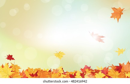 Autumn  Frame With Falling  Maple Leaves on Sky Background