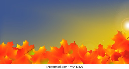 Autumn Frame With Falling Maple Leaves on Sky Background. Elegant Design with Rays of Sun. Vector Illustration.