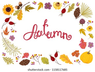 Autumn frame with flowers, leaves, dog roses, pine cones, pumpkin and berries. Vector fall template on white background of colorful floral elements.