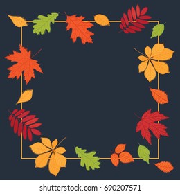 Autumn frame. Leaves are drawn on the black chalkboard. Sketch, doodles, design elements.  Vector illustration.