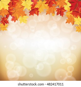 Autumn frame with maple leaves