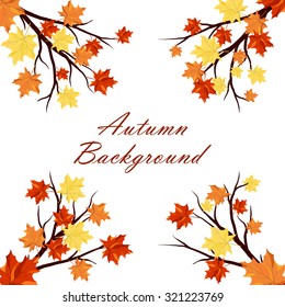 Autumn  Frame With Maple Leaves on Branches of Tree  Over White Background. Elegant Design with Text Space and Ideal Balanced Colors. Vector Illustration.