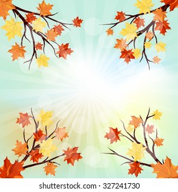 Autumn  Frame With Maple Leaves on Branches of Tree  Over Sky Background. Elegant Design with Text Space and Ideal Balanced Colors. Vector Illustration.