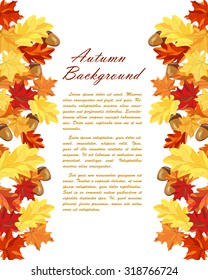 Autumn  Frame With Maple and Oak Leaves and Berries Over White Background. Elegant Design with Text Space and Ideal Balanced Colors. Vector Illustration.