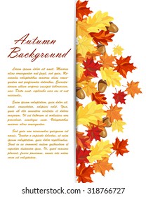 Autumn  Frame With Maple and Oak Leaves and Berries Over White Background. Elegant Design with Text Space and Ideal Balanced Colors. Vector Illustration.